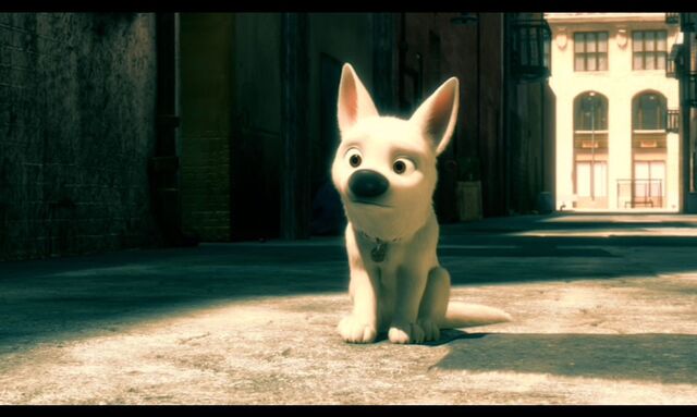 File:Bolt sit.jpeg