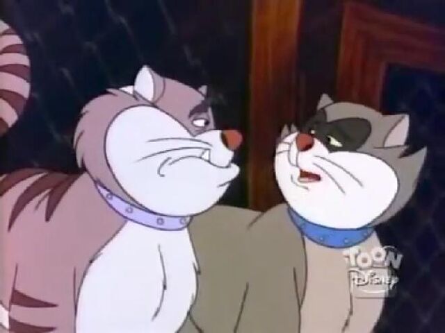 File:Pintscats23.jpg