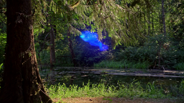 File:501Wisp.png