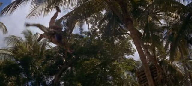 File:Swiss-family-robinson-disneyscreencaps.com-13345.jpg