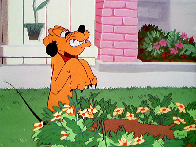 File:Tumblr m0msnsTfoe1r3jmn6o4 1280.png