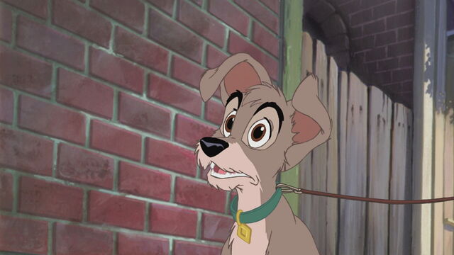 File:Lady-tramp-2-disneyscreencaps.com-132.jpg