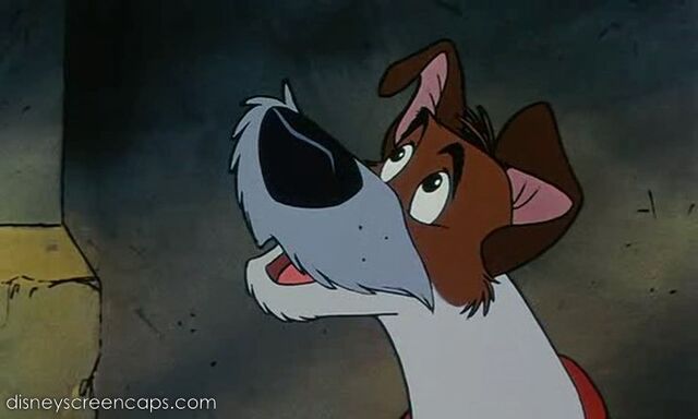 File:Oliver-disneyscreencaps.com-6930.jpg