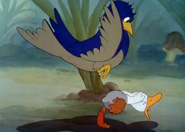 File:Pecking.png