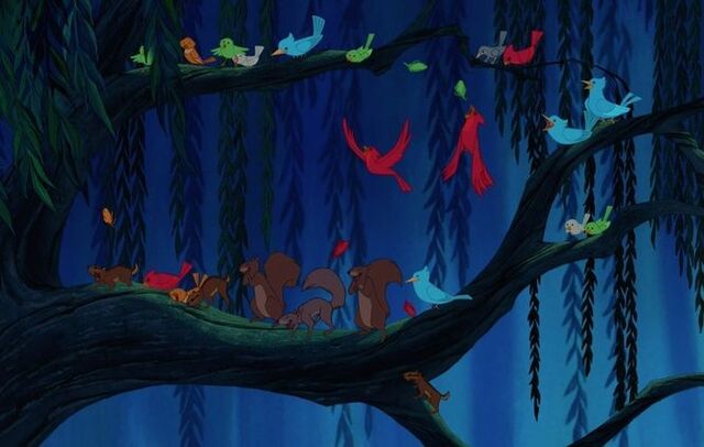 File:Woodland-creatures-gather-on-a-branch-in-pocahontas 198818ee.jpeg
