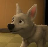 Bolt2.jpg