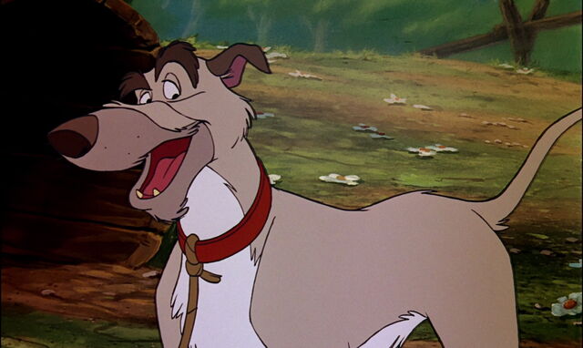 File:Fox-and-the-hound-disneyscreencaps.com-1632.jpg