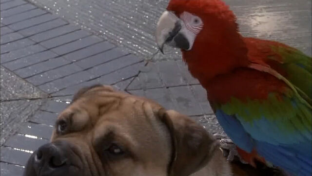 File:102-dalmatians-disneyscreencaps com-3900.jpg