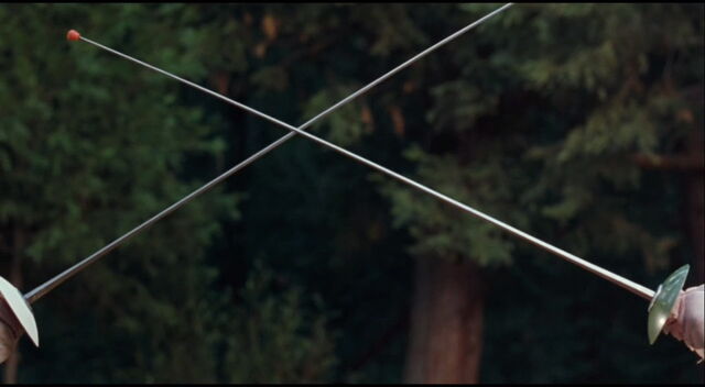 File:Parent-trap-disneyscreencaps.com-1097.jpg