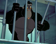 Gorila Dumbo.png