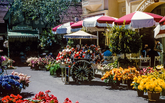 FlowerMarket