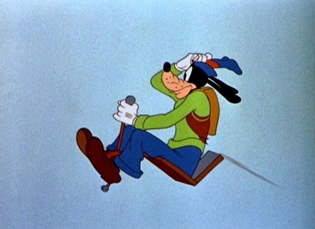 File:Goofysglider8large.jpg