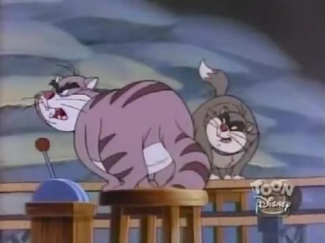 File:Pintscats16.jpg