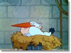 Stork