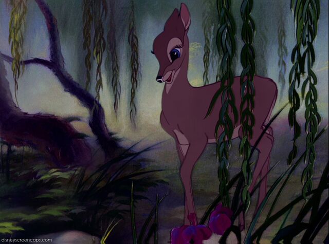 File:Adult Faline.jpg