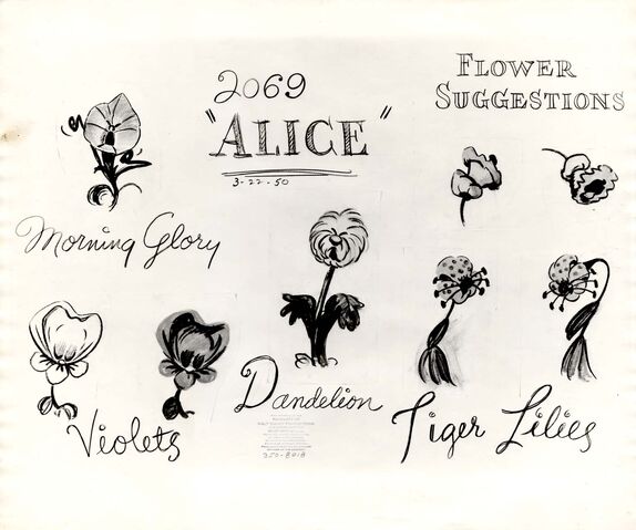 File:Model sheet 350-8018 flower suggestions morning glory, violets, dandelion, tiger lilies blog.jpg