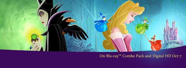 File:Sleeping Beauty Diamond EditionBanner.jpg