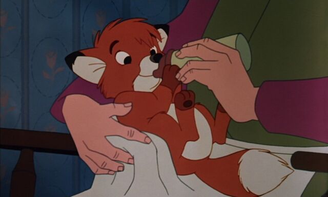 File:Foxdrink.jpg