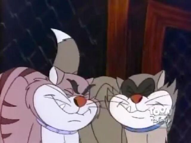 File:Pintscats24.jpg
