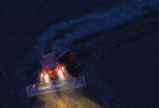 File:Frank at Night.jpg