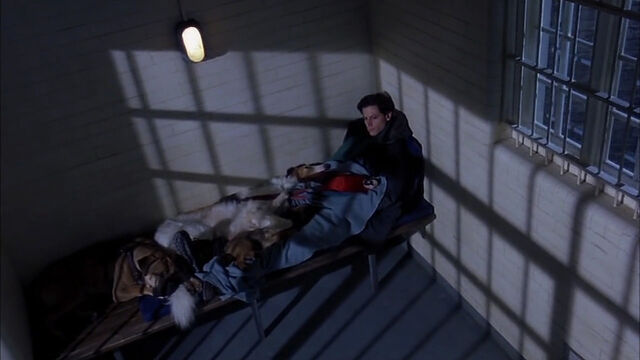File:102-dalmatians-disneyscreencaps com-6297.jpg