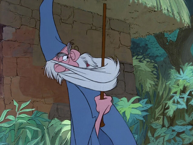 File:Sword-in-stone-disneyscreencaps.com-1511.jpg