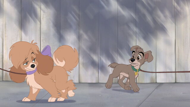 File:Lady-tramp-2-disneyscreencaps.com-168.jpg
