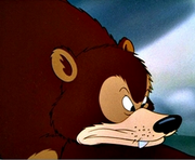 Oso
