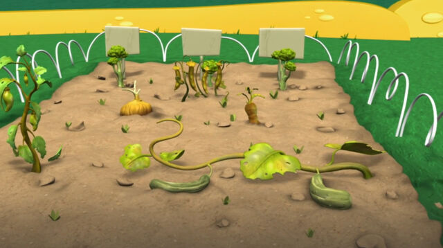 File:Closeup old vegetable garden.jpg