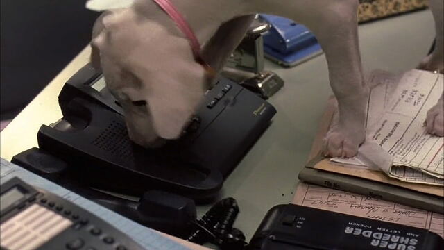 File:102-dalmatians-disneyscreencaps.com-2590.jpg