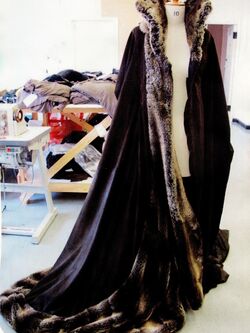 Maleficentwintercloak.jpg