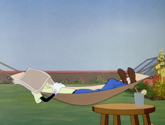 File:GoofyMakesThingsBetter Hammock1.jpg