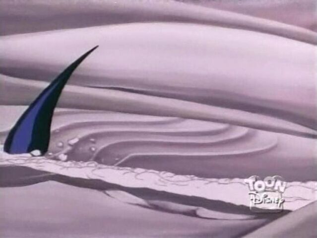 File:Sand Shark 61.jpg