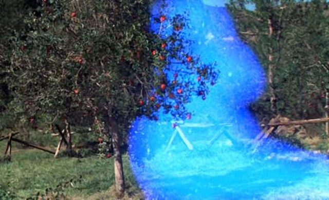 File:Petes-dragon-disneyscreencaps.com-850.jpg