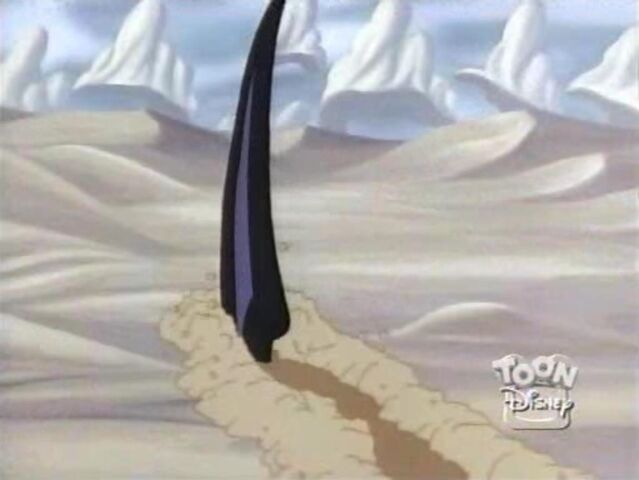 File:Sand Shark 32.jpg