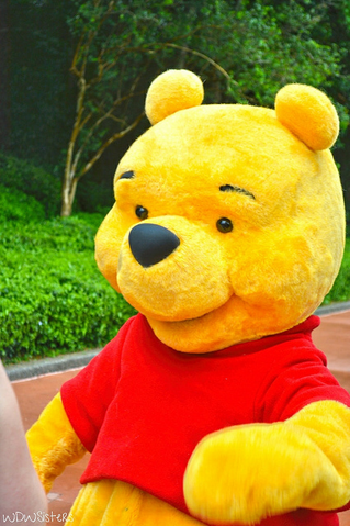 File:Winnie The Pooh walks.png