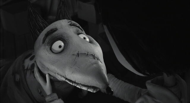 File:Frankenweenie-disneyscreencaps.com-3192.jpg