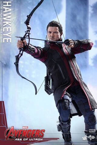 File:Hawkeye AOU Hot Toys 04.jpg