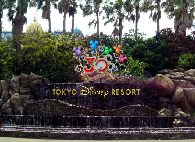 File:TDR30thsign.jpg