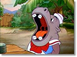 Joeyhippo