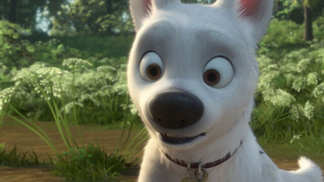 File:Bolt-disneyscreencaps.com-4501.jpg