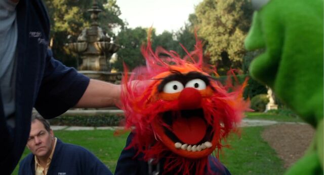 File:Muppets2011Trailer02-80.jpg