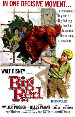File:Big Red.jpg
