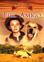 Fiel Amigo