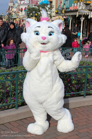 File:8487774289 70c172fff9 z.jpg