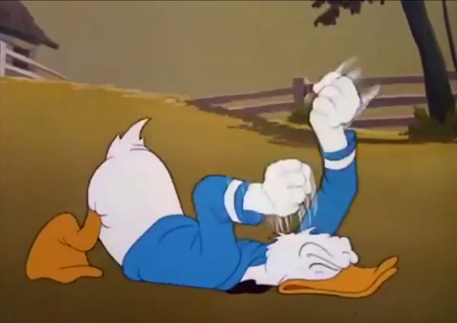 File:Poor Donald.png