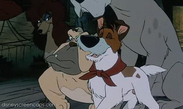 File:Oliver-disneyscreencaps.com-2325.jpg