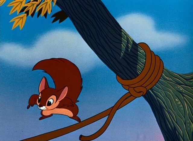 File:The flying squirrel 6.jpg