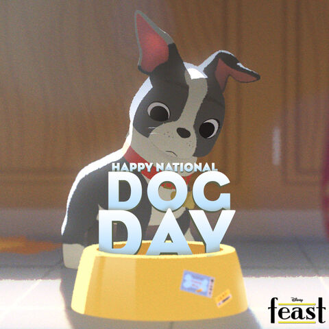 File:HappyNationalDogDayFeast.jpg