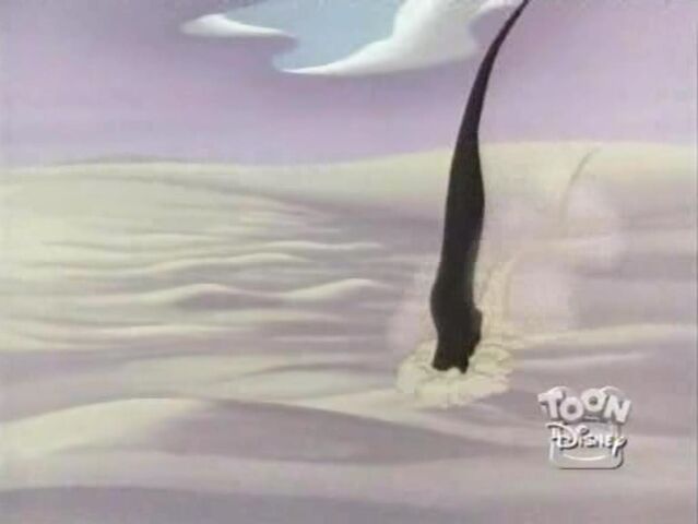 File:Sand Shark 51.jpg